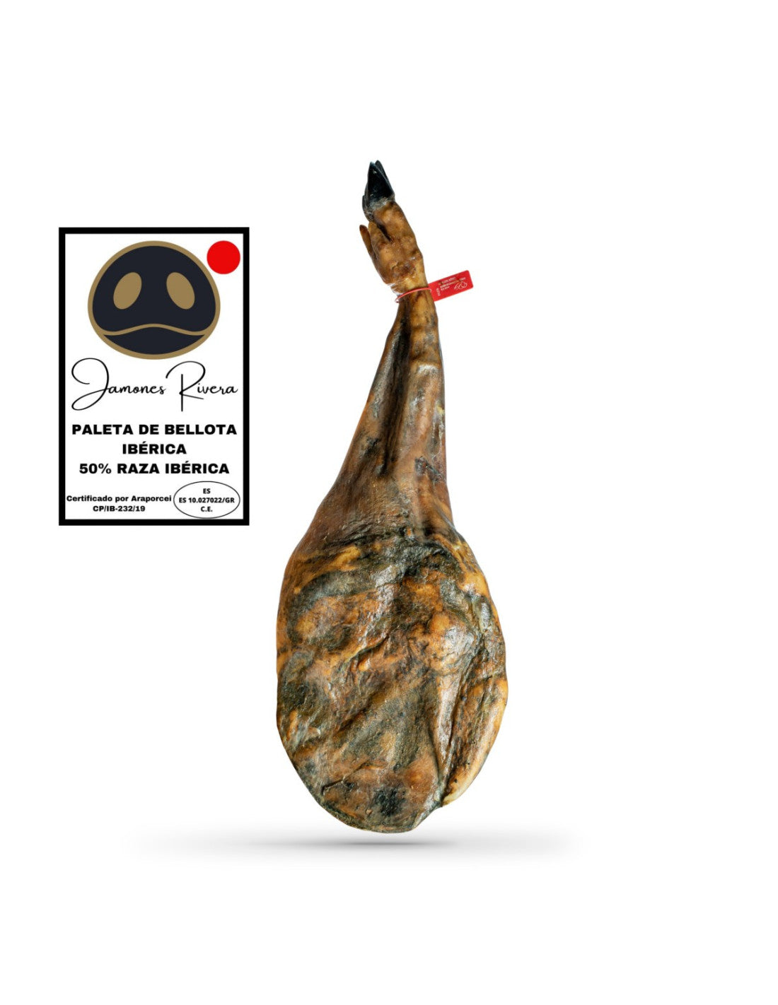 Paleta de Bellota 50% Ibérica Rivera 5–5,5 kg + Regalo queso